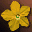 Ice Flower