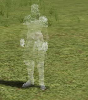 Nameless Spirit