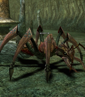 Ant Soldier