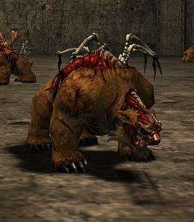 Kranrot