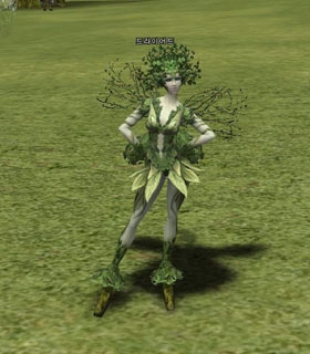 Dryad Elder