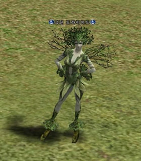 Dryad
