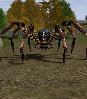 Kasha Blade Spider