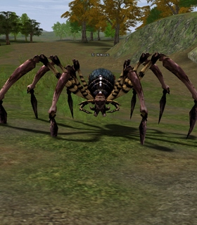 Hunter Tarantula