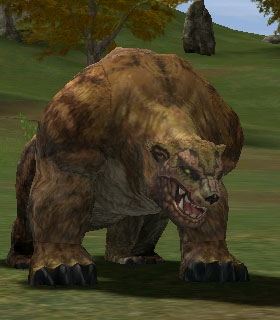 Hunter Bear