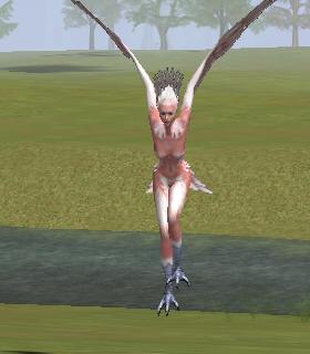 Harpy