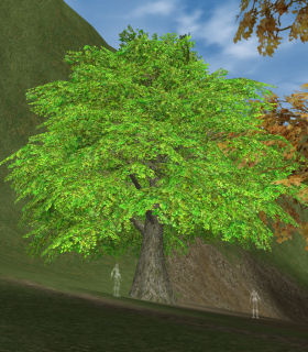 Fairy Tree