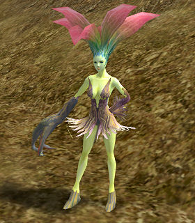 Mandragora