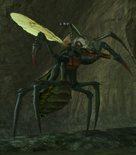Noble Ant