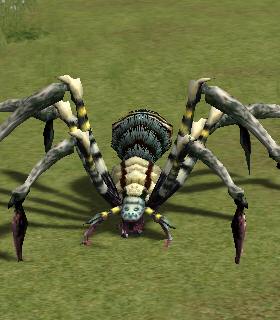 Marsh Spider