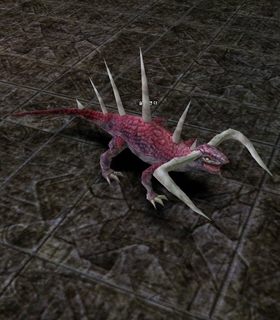 Flame Salamander