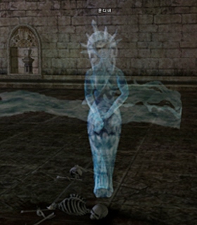 Water Seer