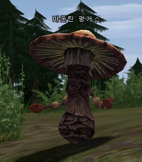 Rotting tree