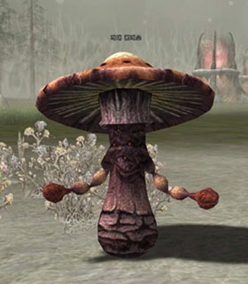 Giant Fungus