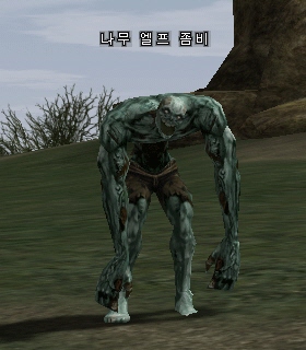 Ruin Zombie