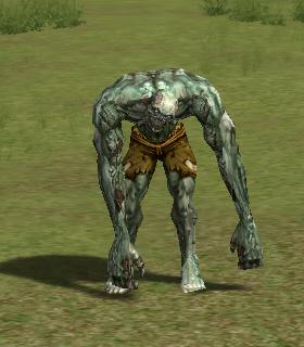 Ruin Zombie Leader